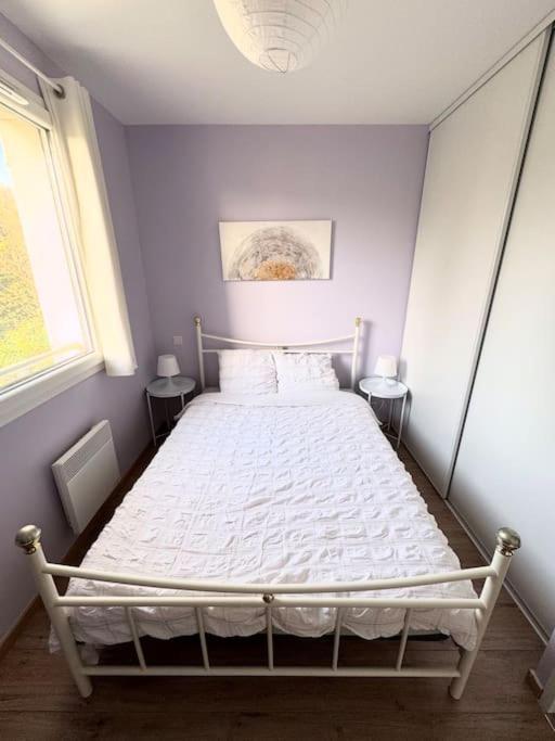 Maison Calme Avec Jardin Proche De Toulouse Luaran gambar